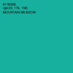 #17B09E - Mountain Meadow Color Image