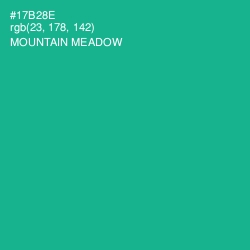 #17B28E - Mountain Meadow Color Image