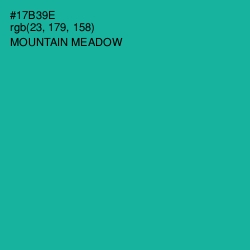 #17B39E - Mountain Meadow Color Image