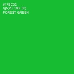 #17BC32 - Forest Green Color Image
