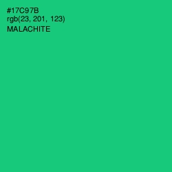 #17C97B - Malachite Color Image