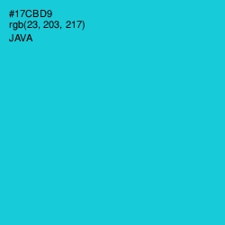 #17CBD9 - Java Color Image