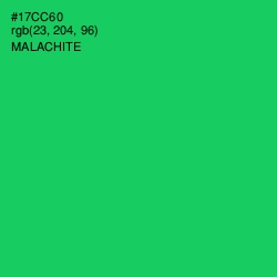 #17CC60 - Malachite Color Image