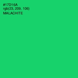 #17D16A - Malachite Color Image