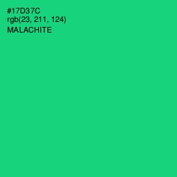 #17D37C - Malachite Color Image