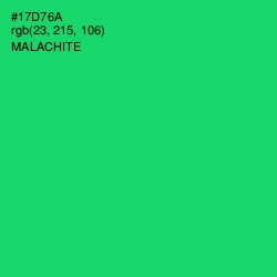 #17D76A - Malachite Color Image