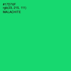 #17D76F - Malachite Color Image