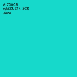 #17D9CB - Java Color Image