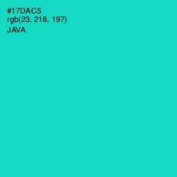 #17DAC5 - Java Color Image