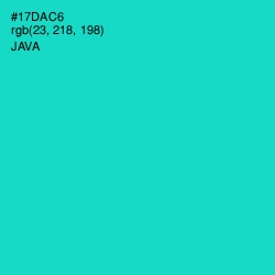 #17DAC6 - Java Color Image