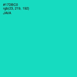 #17DBC0 - Java Color Image