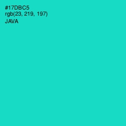 #17DBC5 - Java Color Image