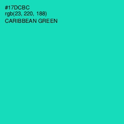 #17DCBC - Caribbean Green Color Image