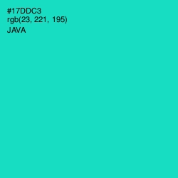 #17DDC3 - Java Color Image