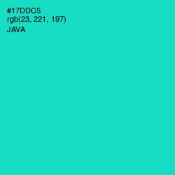 #17DDC5 - Java Color Image