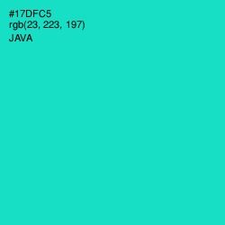 #17DFC5 - Java Color Image