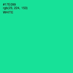 #17E099 - Caribbean Green Color Image