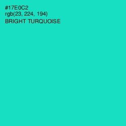 #17E0C2 - Bright Turquoise Color Image