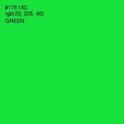 #17E13C - Green Color Image