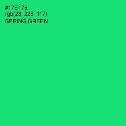 #17E175 - Spring Green Color Image