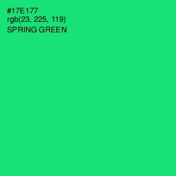 #17E177 - Spring Green Color Image