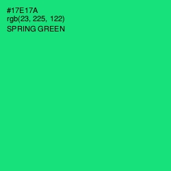 #17E17A - Spring Green Color Image