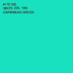 #17E1BE - Caribbean Green Color Image
