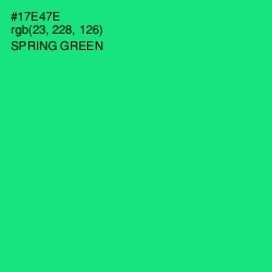 #17E47E - Spring Green Color Image