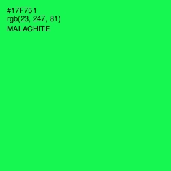 #17F751 - Malachite Color Image