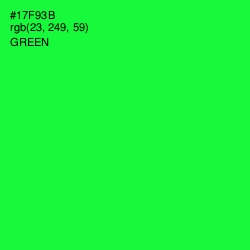 #17F93B - Green Color Image