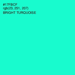 #17FBCF - Bright Turquoise Color Image