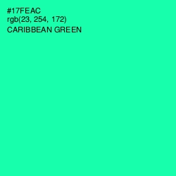 #17FEAC - Caribbean Green Color Image