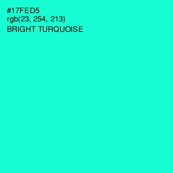 #17FED5 - Bright Turquoise Color Image