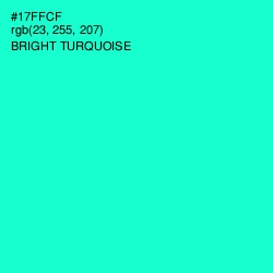 #17FFCF - Bright Turquoise Color Image