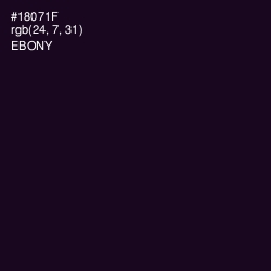 #18071F - Ebony Color Image