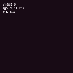 #180B15 - Cinder Color Image