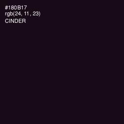 #180B17 - Cinder Color Image