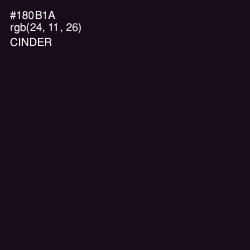 #180B1A - Cinder Color Image