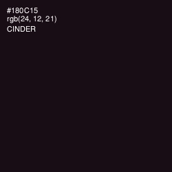 #180C15 - Cinder Color Image