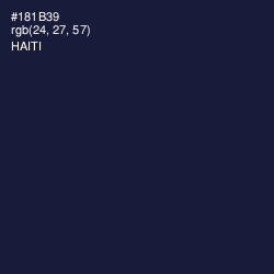 #181B39 - Haiti Color Image