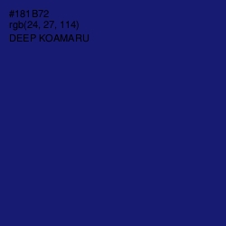 #181B72 - Deep Koamaru Color Image