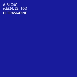 #181C9C - Ultramarine Color Image