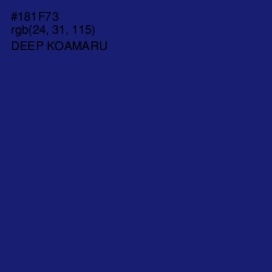 #181F73 - Deep Koamaru Color Image