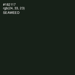 #182117 - Seaweed Color Image