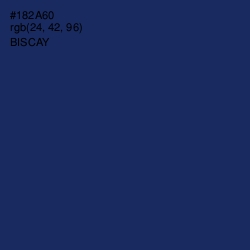 #182A60 - Biscay Color Image