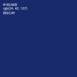 #182A6B - Biscay Color Image