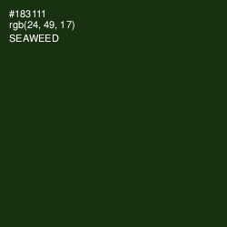 #183111 - Seaweed Color Image
