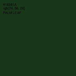 #18381A - Palm Leaf Color Image