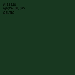 #183820 - Celtic Color Image