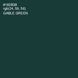 #183B38 - Gable Green Color Image